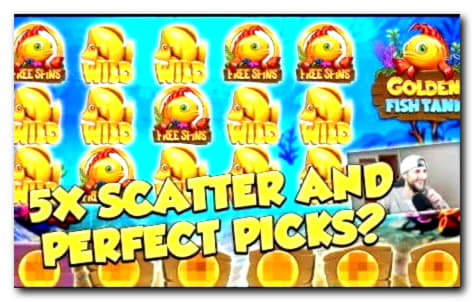 $555 Casino Tournament at Slotty Dubai Casino