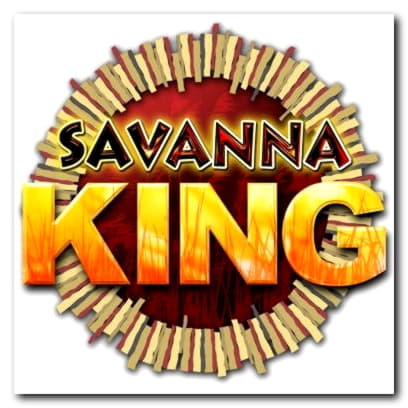 Eur 415 Casino chip at Wild Slots Casino