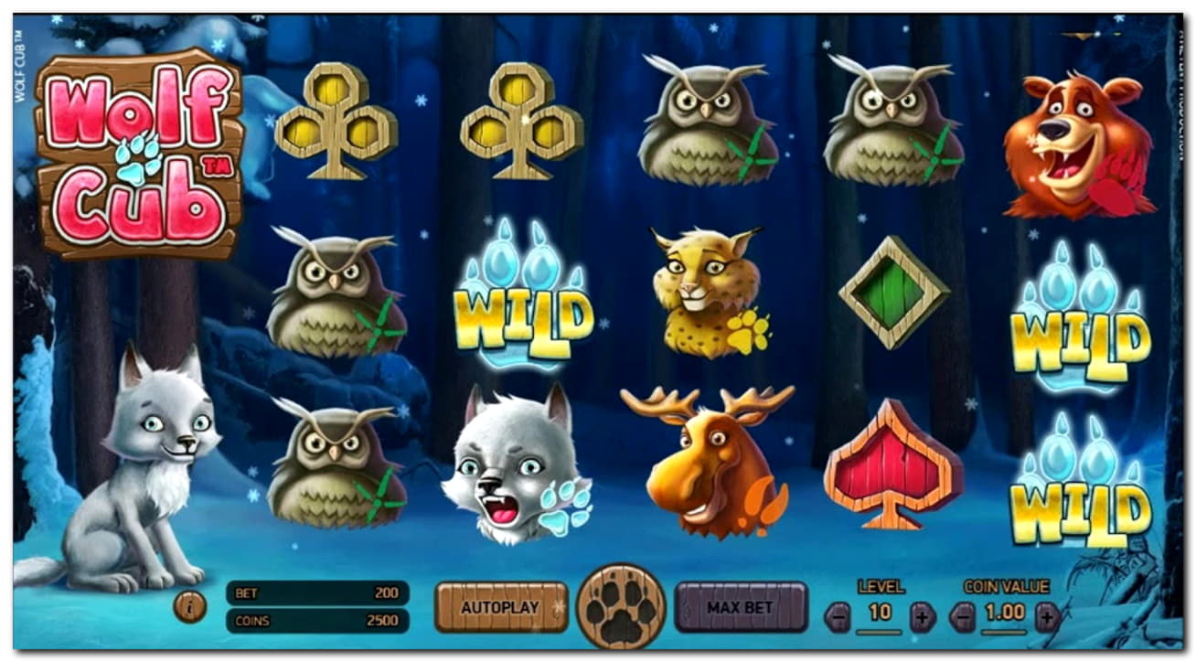 655% First deposit bonus at Casino-X