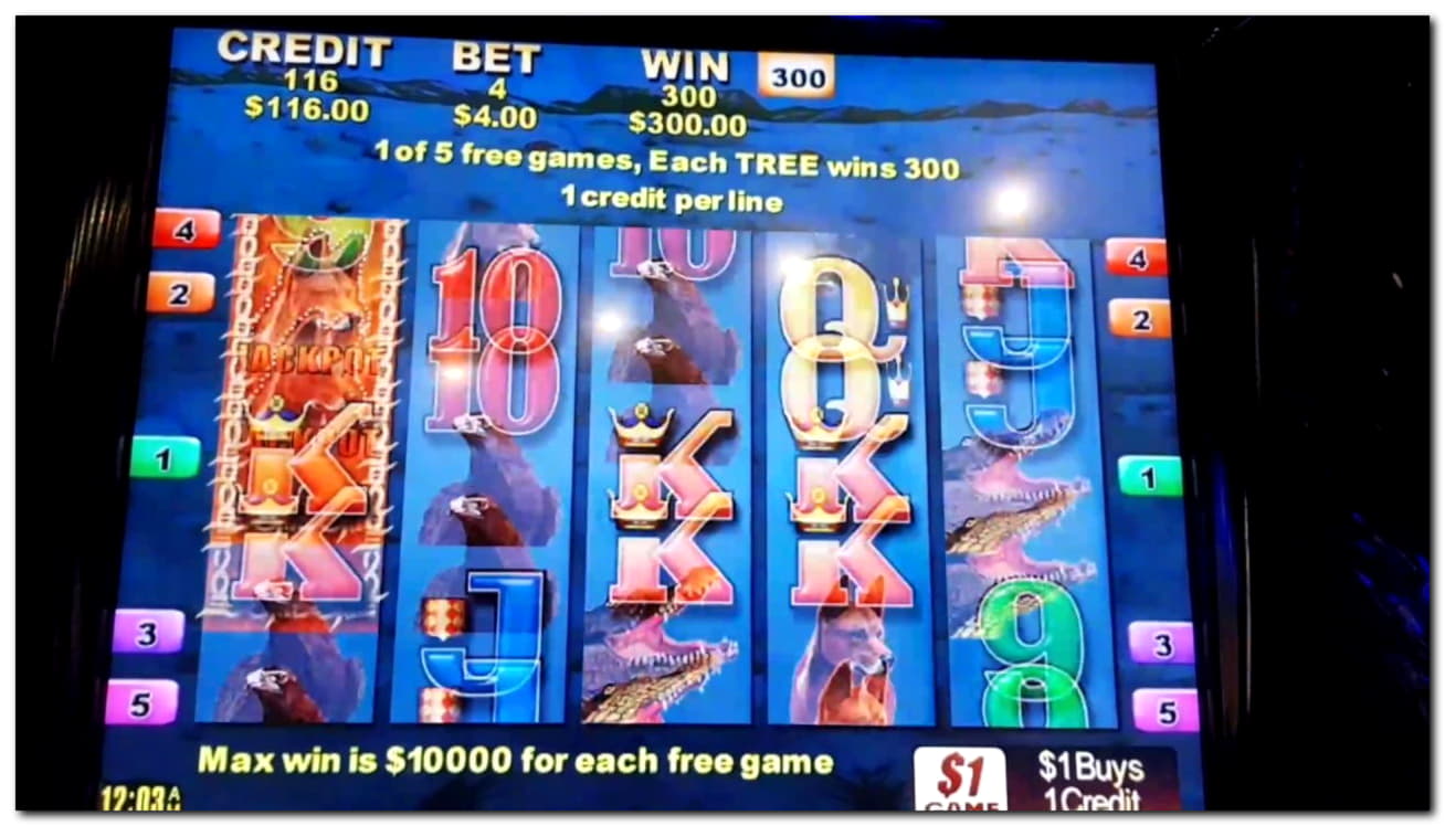 240% Casino Welcome Bonus at Next Casino