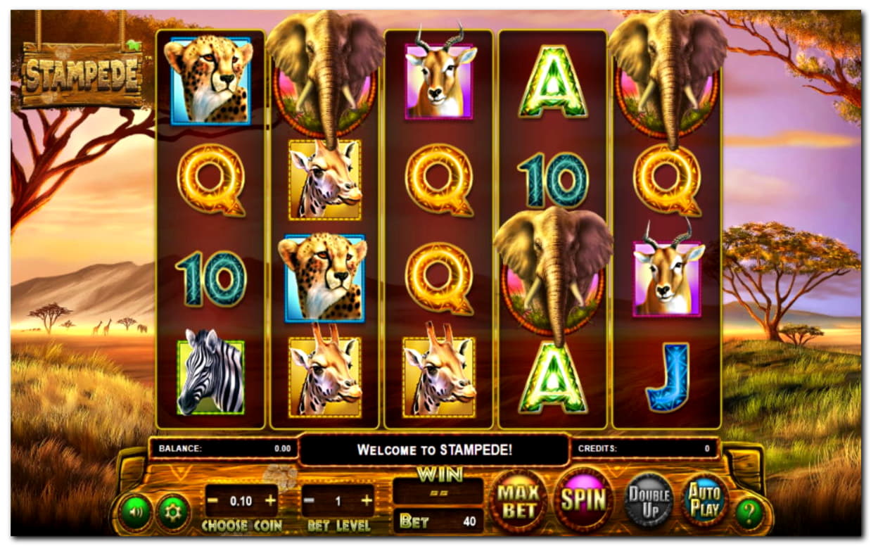 55 Free Spins right now at Slotty Dubai Casino