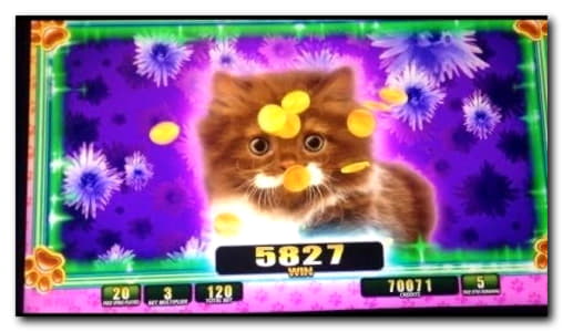 €4280 no deposit casino bonus at Karamba Casino