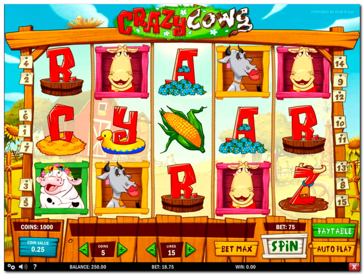 245 FREE Spins at Casino-X