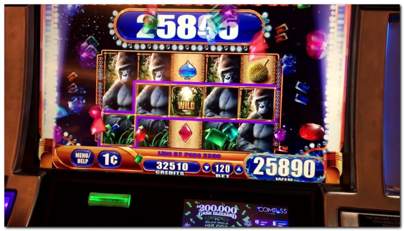 EURO 1225 no deposit bonus at Slotty Dubai Casino
