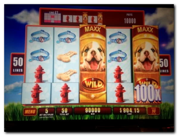 €530 Free Money at Joy Casino