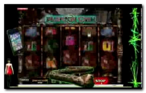 EUR 215 Online Casino Tournament at Slotty Dubai Casino