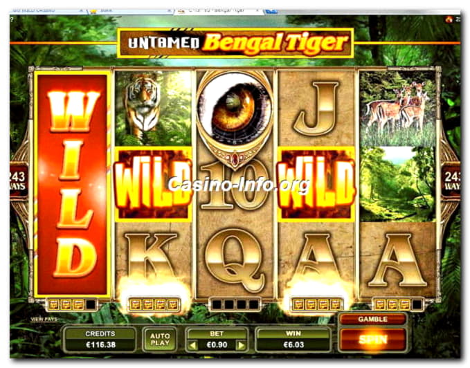 100 FREE Spins at Energy Casino