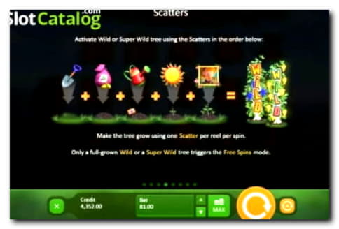 960% Match at a casino at Black Lotus Casino