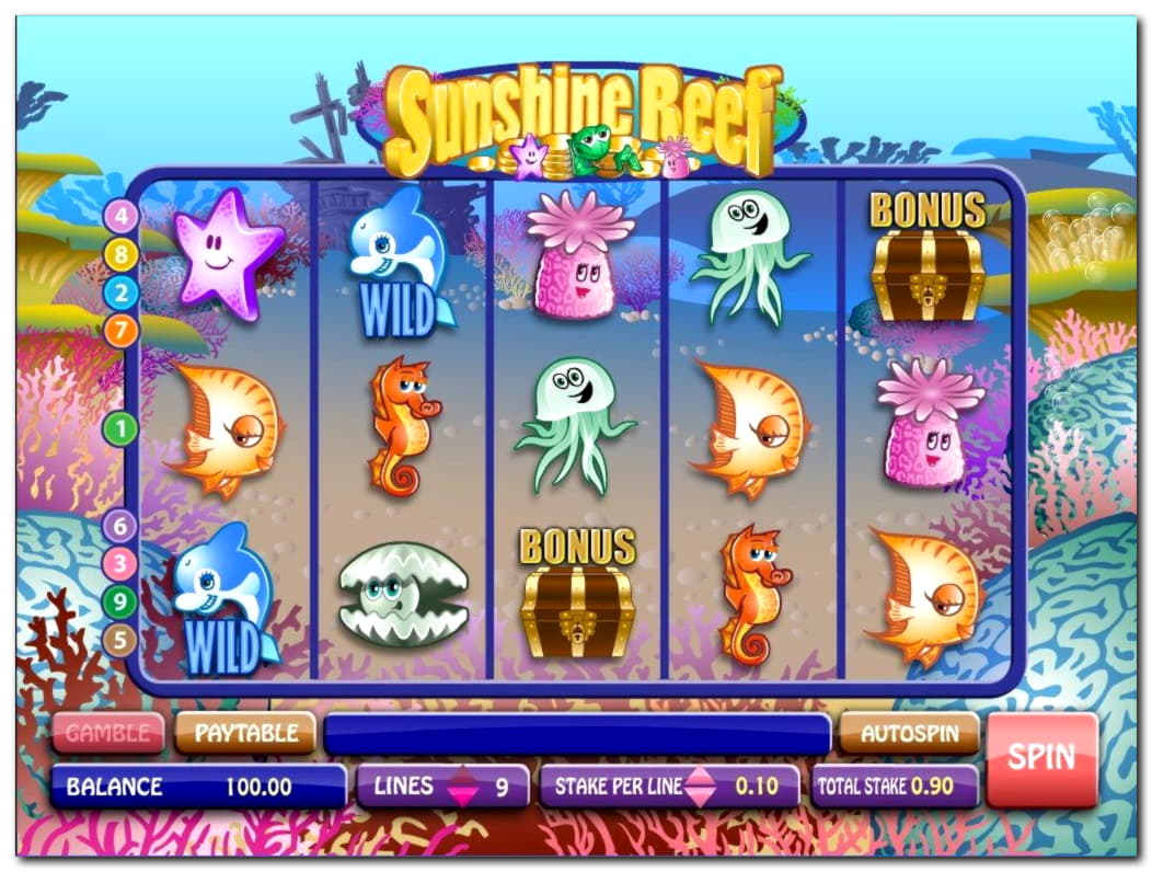 115 Free Spins right now at Red Ping Win Casino