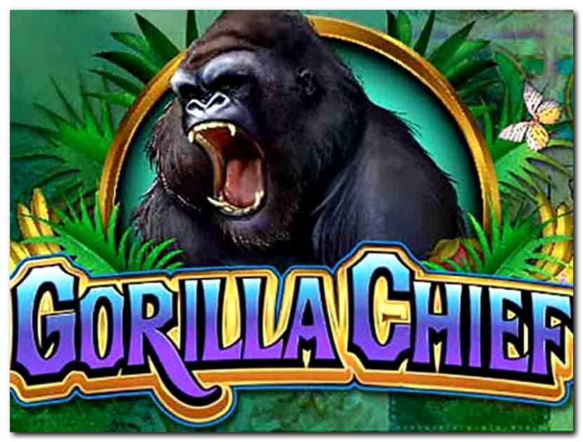 €565 Free Chip at Net Bet Casino