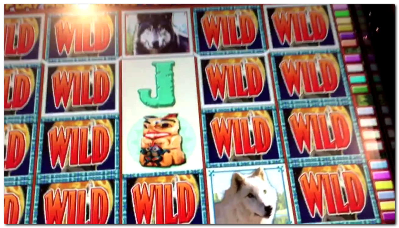 55 Free Spins at Jet Bull Casino