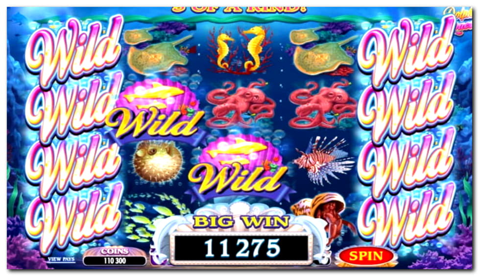 EUR 270 Free Cash at Black Lotus Casino