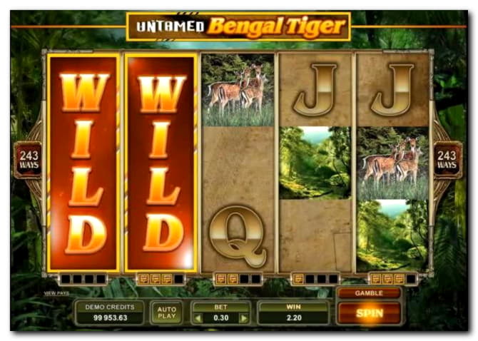 155 Free Casino Spins at BGO Casino
