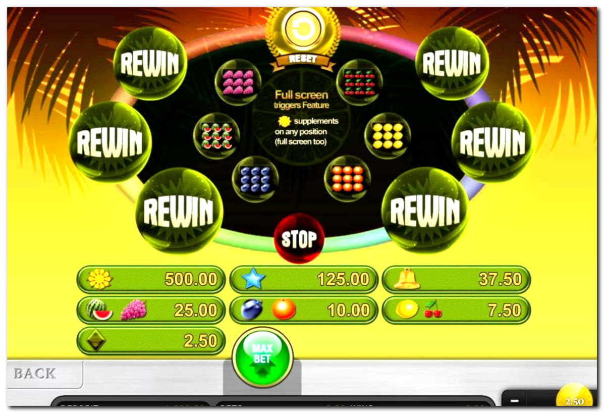 EUR 1960 no deposit at Slotty Dubai Casino