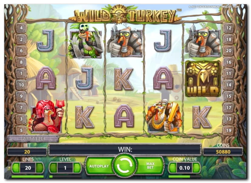 €590 Daily freeroll slot tournament at Wild Slots Casino