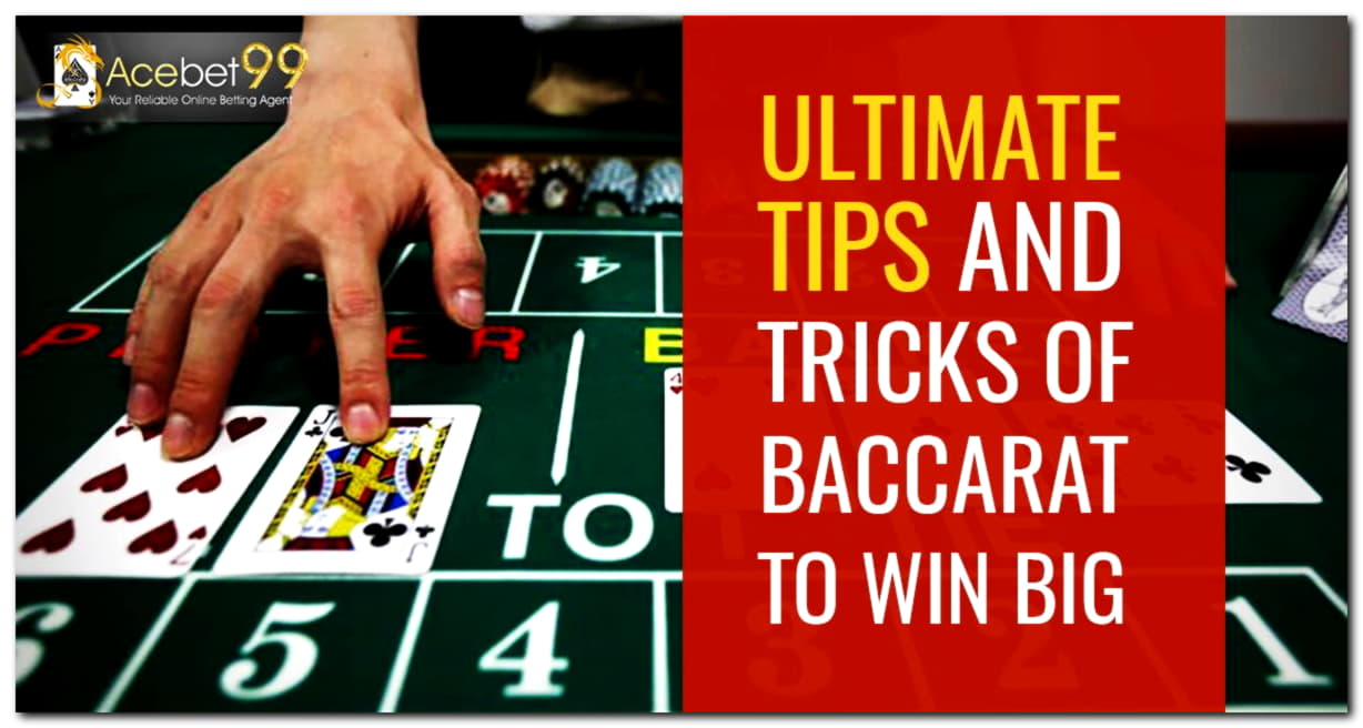 25 Free Spins at Net Bet Casino