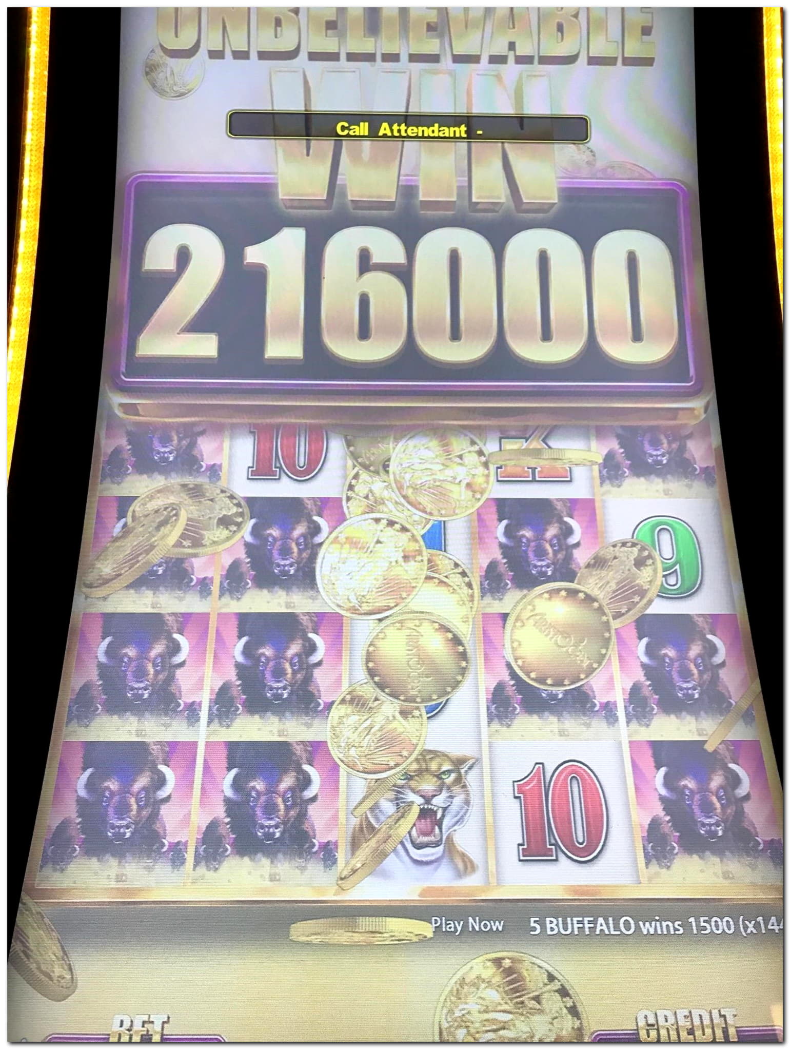 ﻿$655 Daily freeroll slot tournament at Mansion Casino