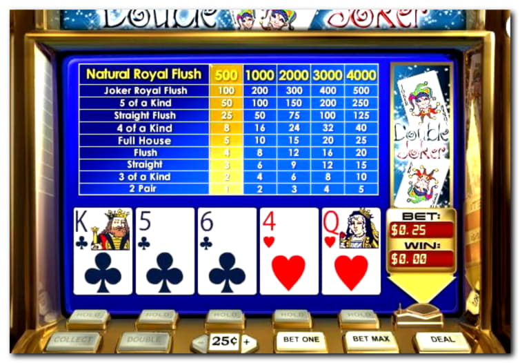 265 Free Spins right now at Net Bet Casino