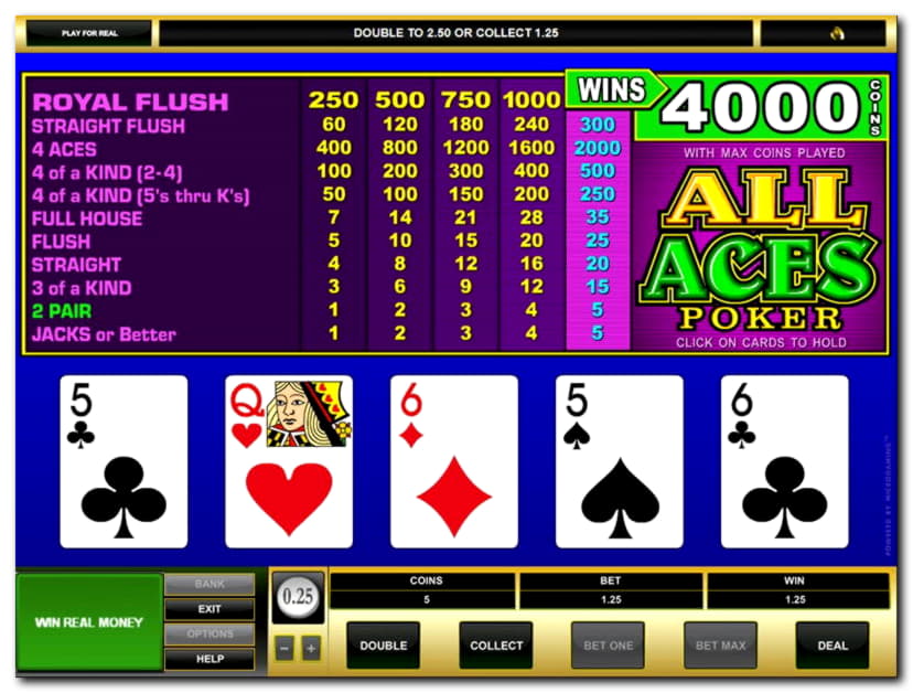840% Signup casino bonus at Winner Casino