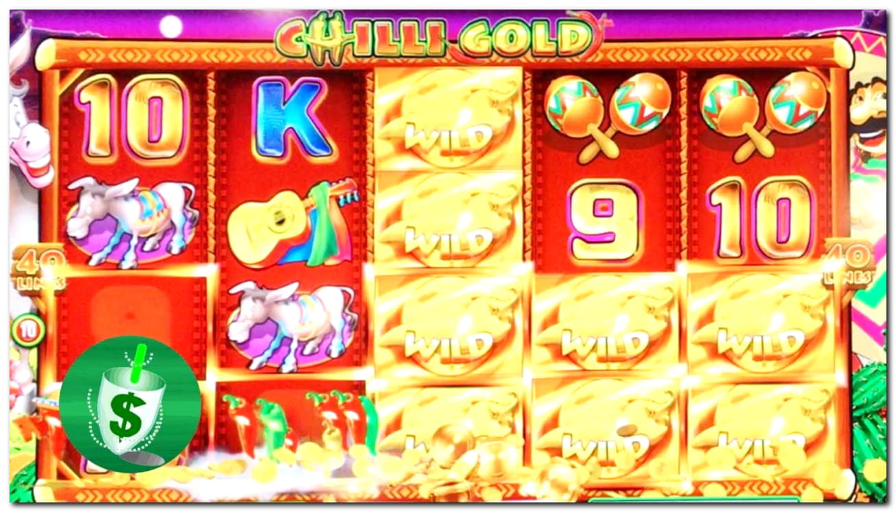 455% Match Bonus Casino at Wild Slots Casino