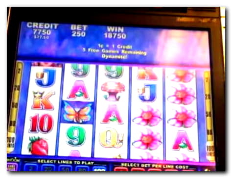 €1385 NO DEPOSIT BONUS CASINO at Wix Stars Casino
