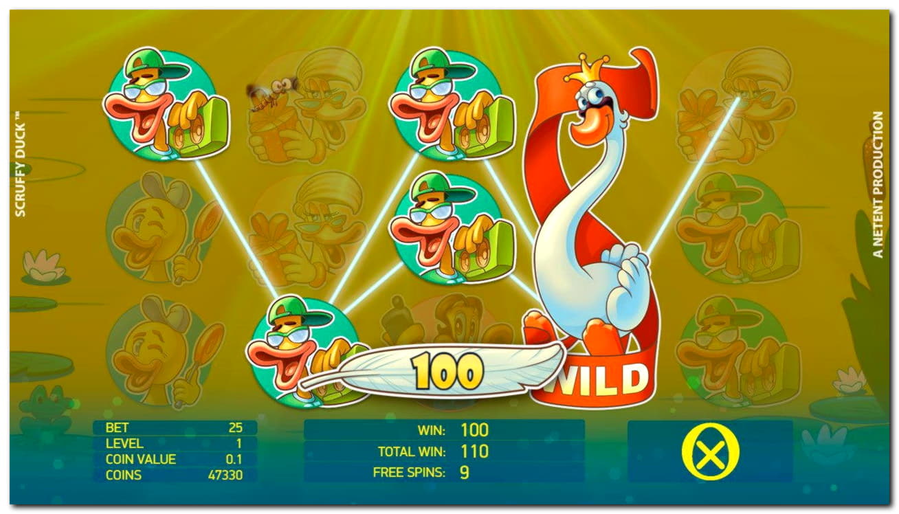 11 Free Spins no deposit casino at CasiPlay Casino