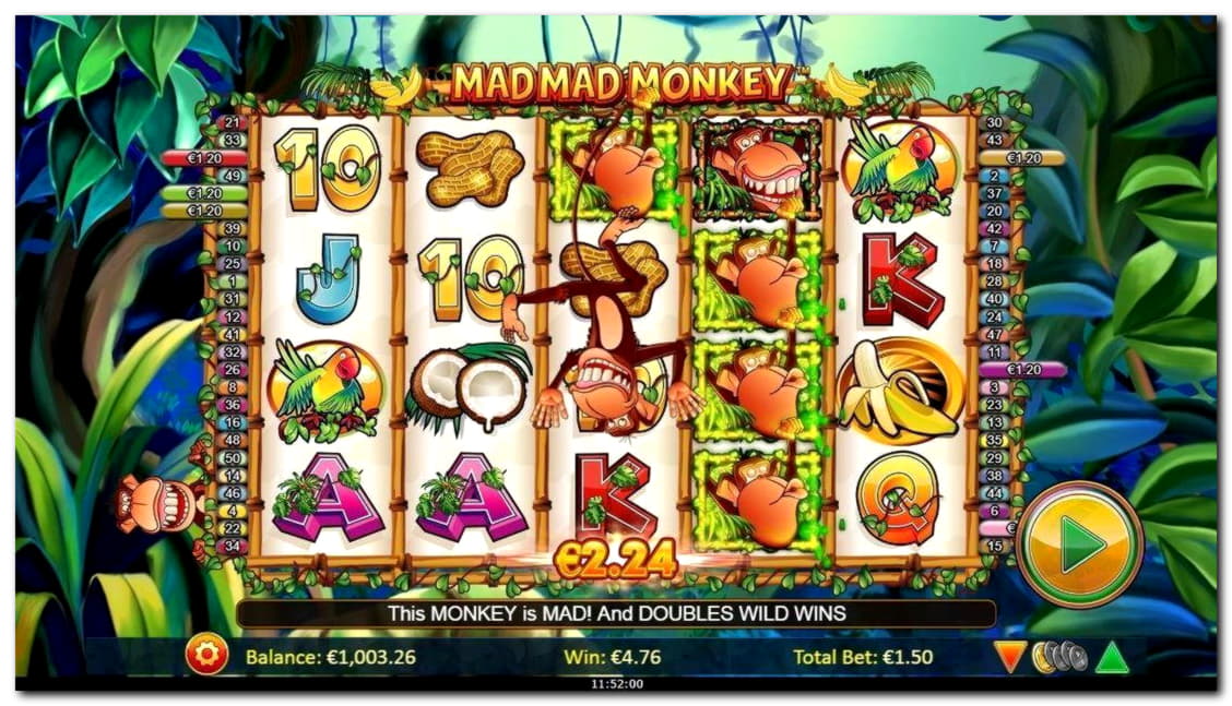 995% First deposit bonus at Net Bet Casino