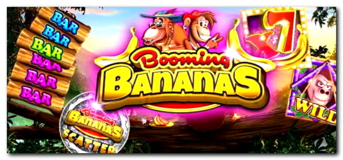 €465 no deposit bonus code at Casino-X