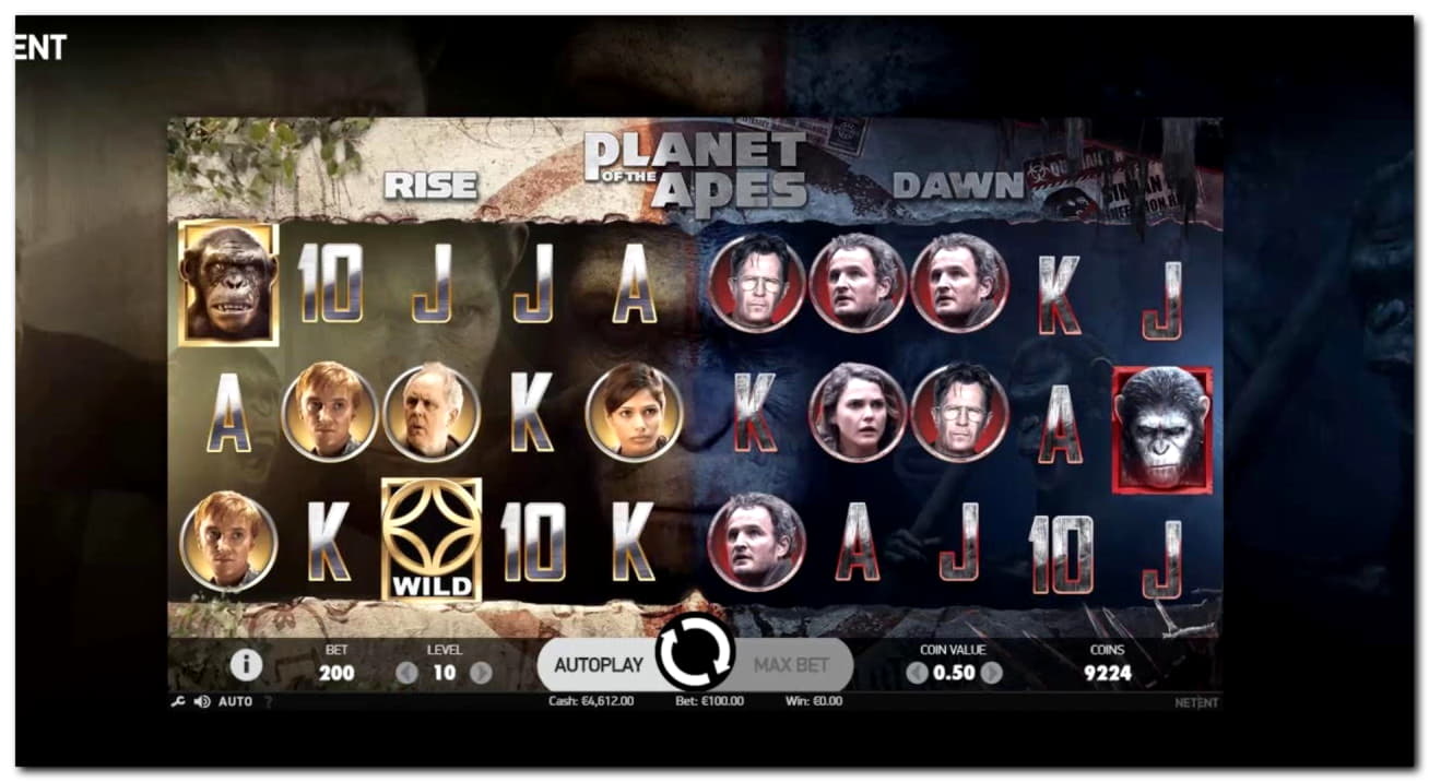 22 free spins no deposit casino at Slotty Dubai Casino