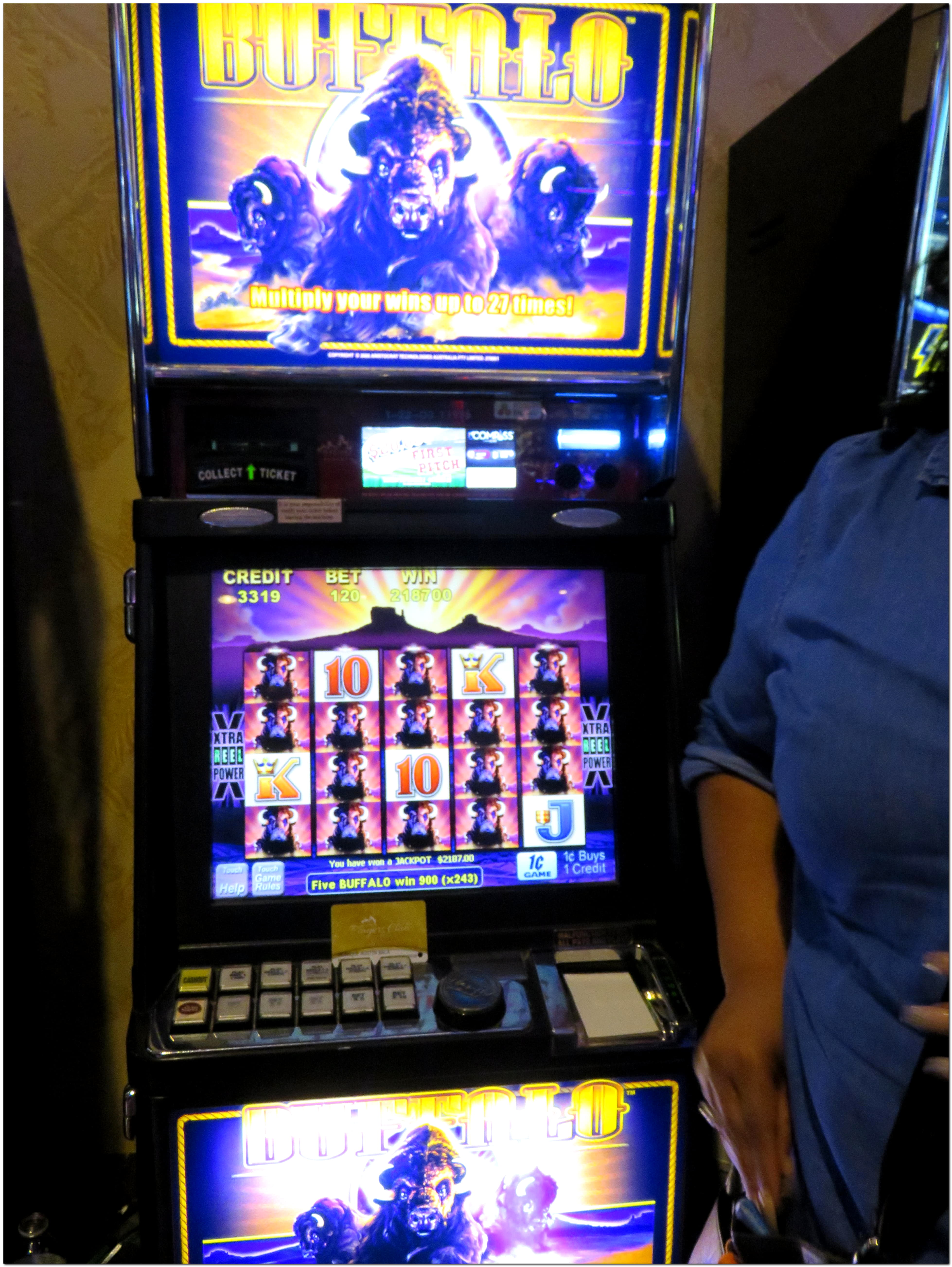 145 Free spins no deposit at BGO Casino