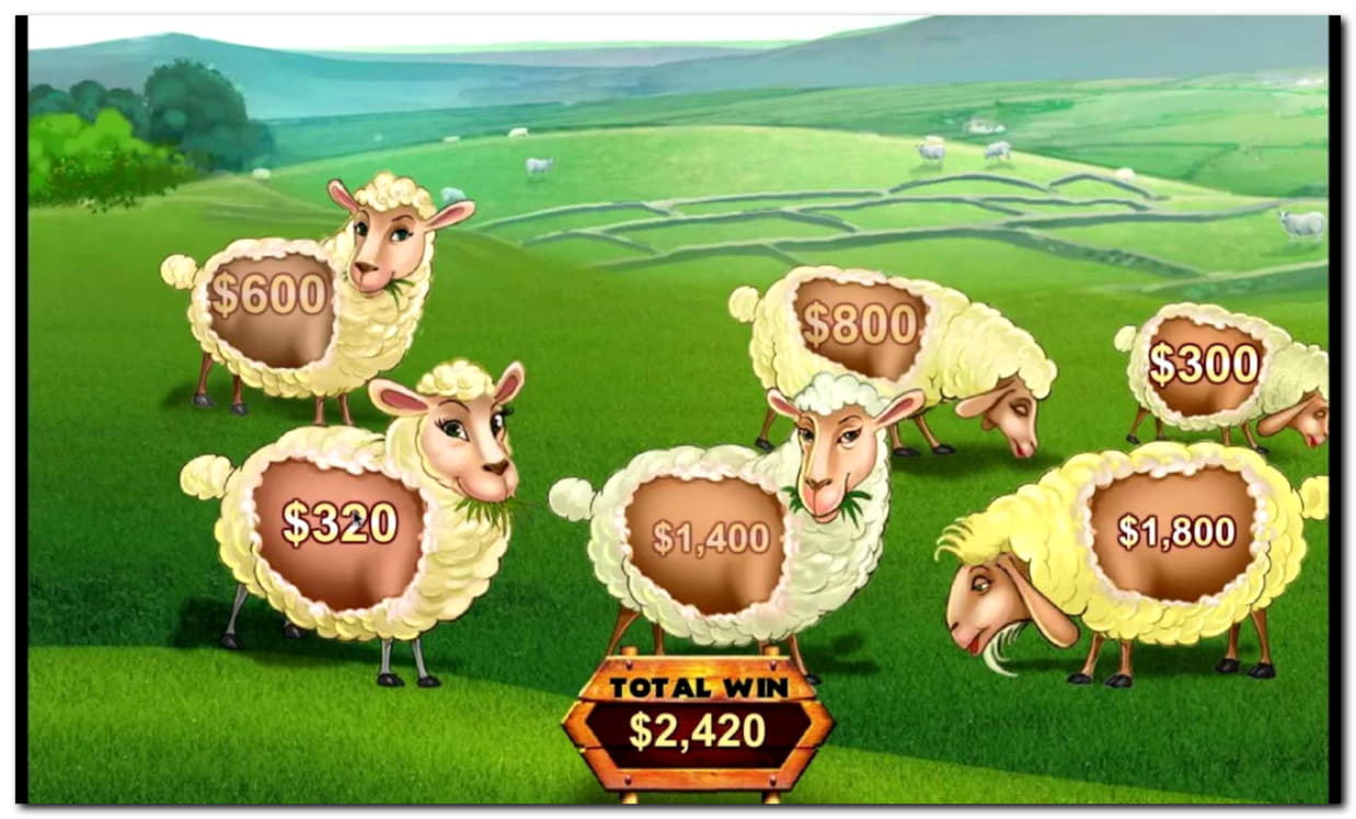 295 Free Spins Casino at Next Casino