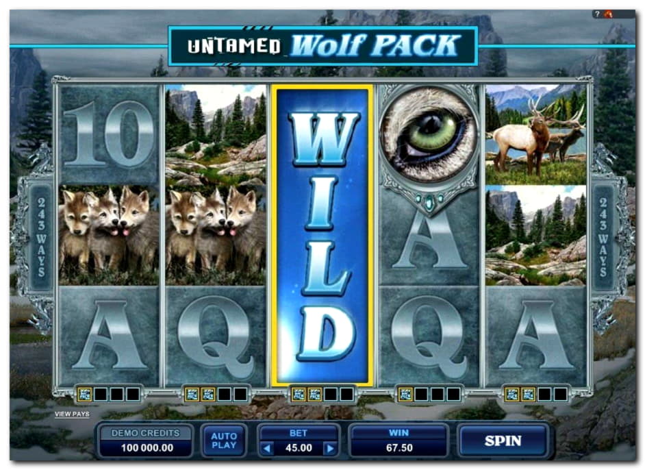 75 Free Spins no deposit casino at Slotty Dubai Casino