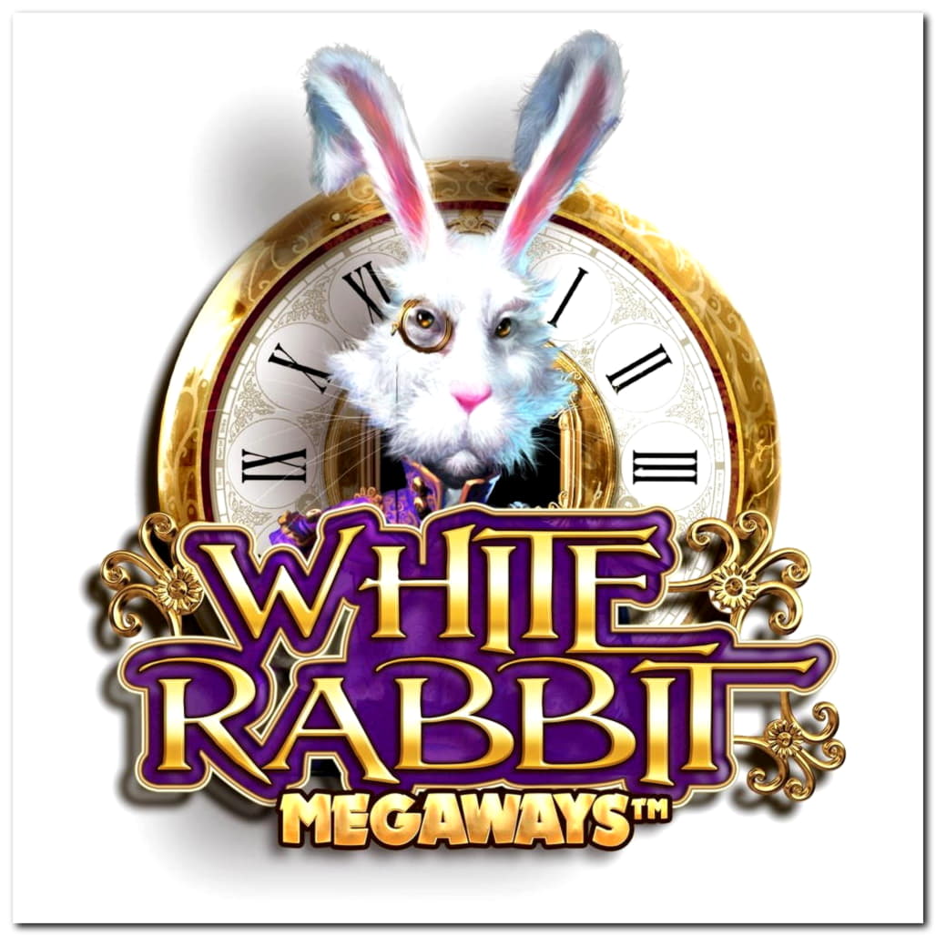 595% Match Bonus at Slotty Dubai Casino