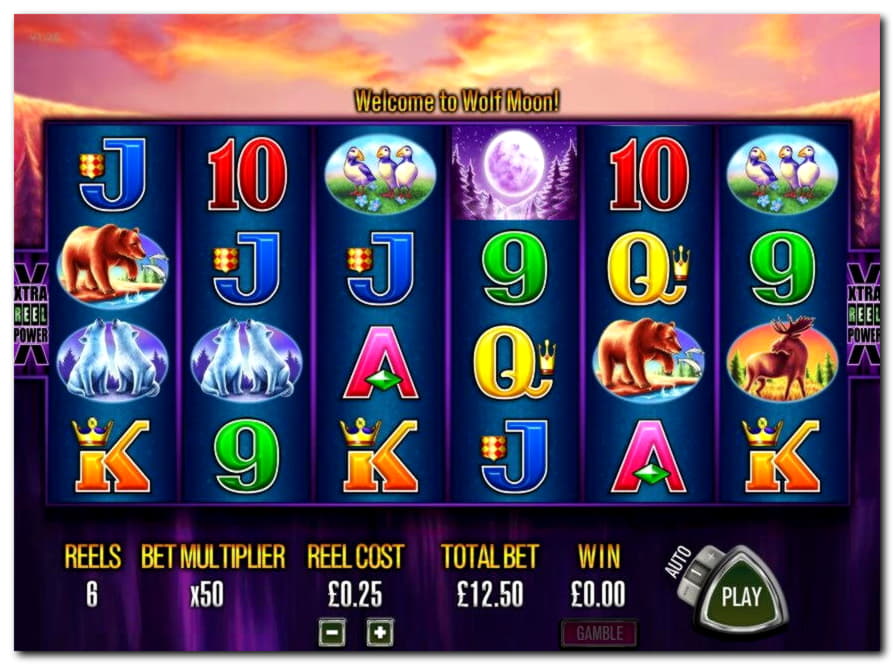 €400 FREE Casino Chip at Slotty Dubai Casino