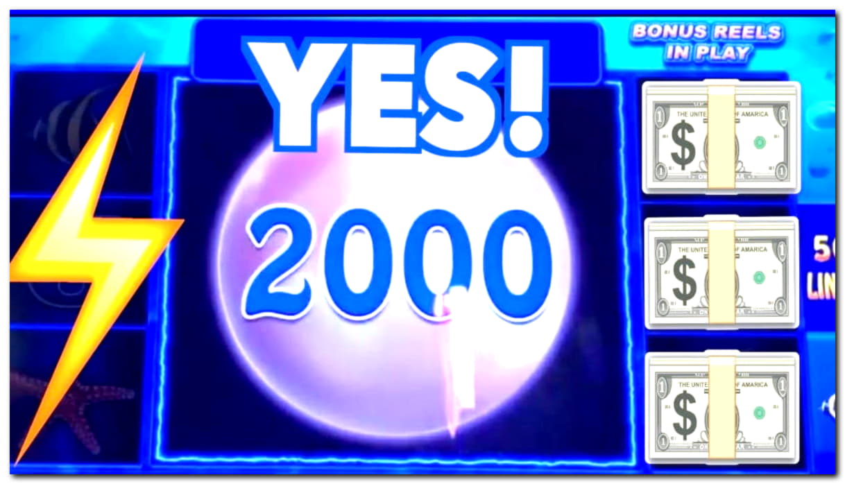 44 free spins at Spin Up Casino