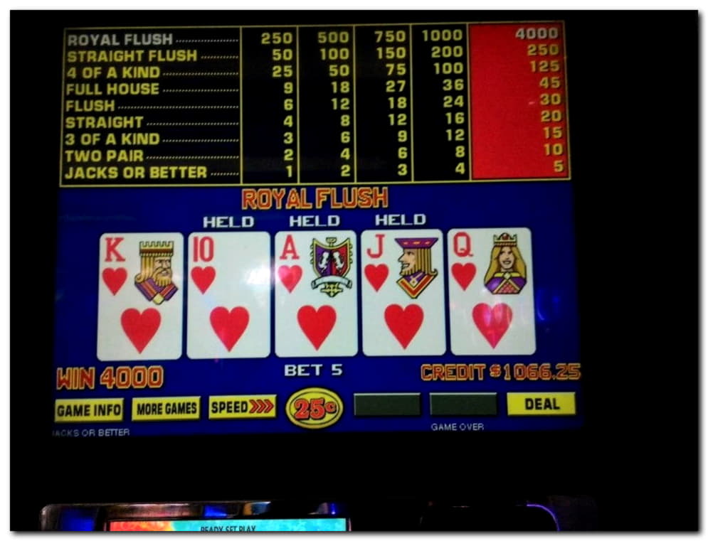 77 free spins casino at CasiPlay Casino