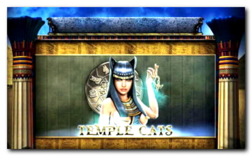 80 Free Casino Spins at Wild Slots Casino