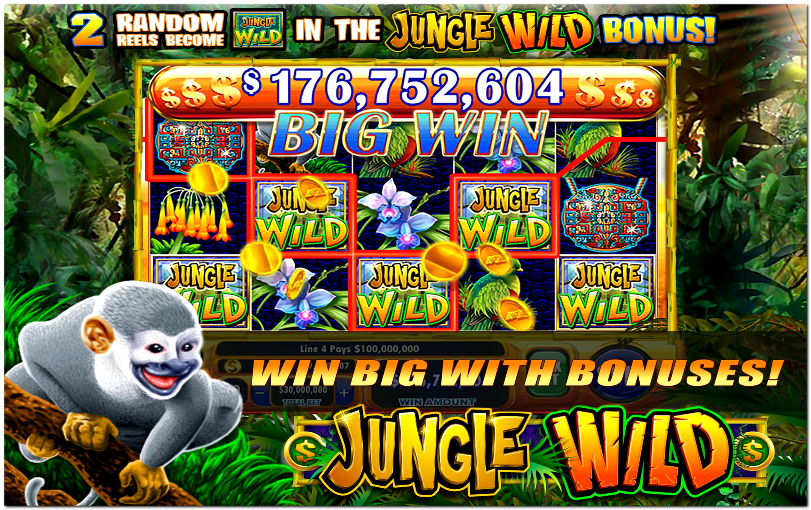 €800 Daily freeroll slot tournament at Big Dollar Casino