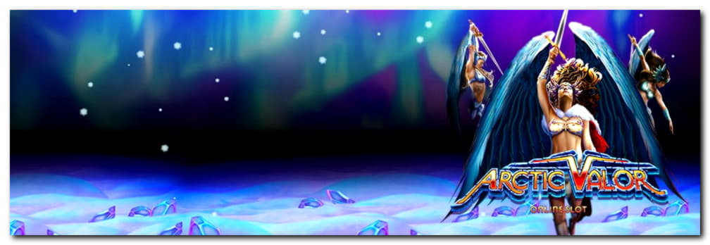 Eur 75 Daily freeroll slot tournament at Net Bet Casino