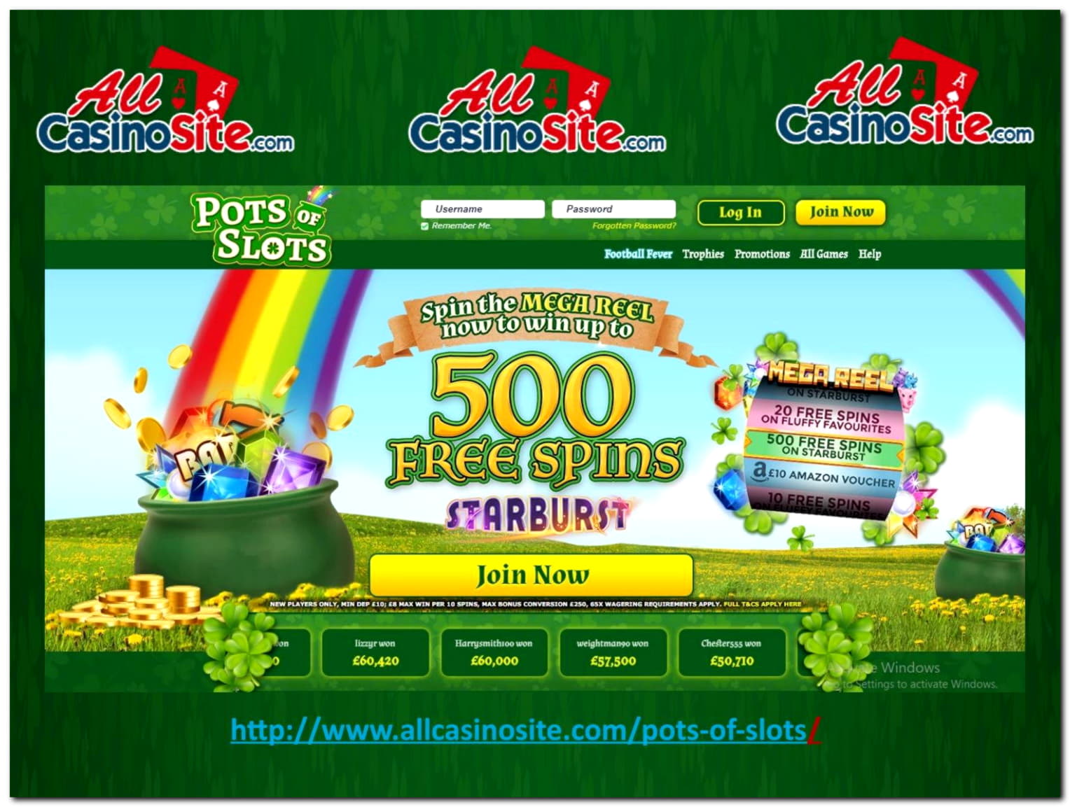 250% First deposit bonus at Black Lotus Casino