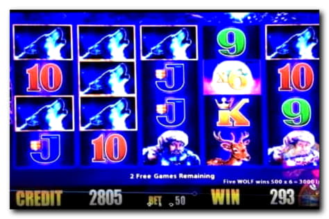EUR 335 free chip at Net Bet Casino