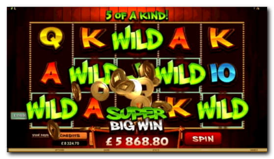 50% Welcome Bonus at Winner Casino