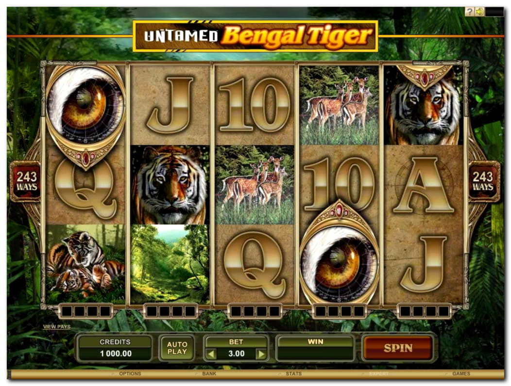 €155 Tournament at Jackpot City Casino