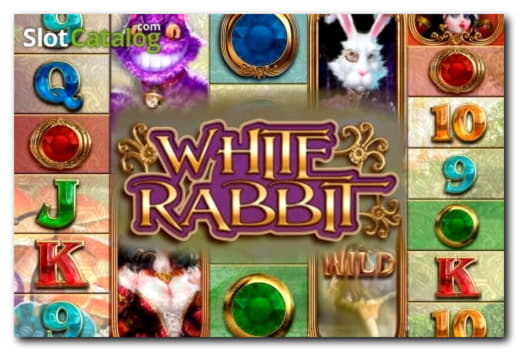 Eur 75 no deposit bonus code at Winner Casino