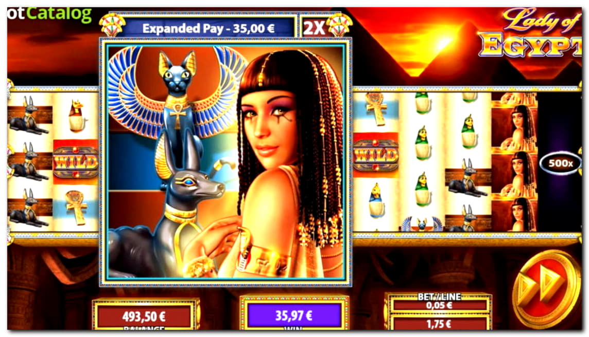 $120 Daily freeroll slot tournament at Wix Stars Casino