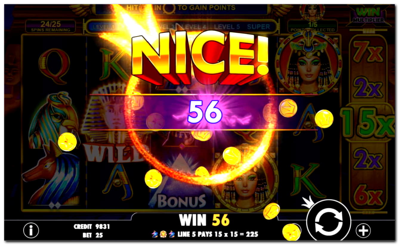 $430 Tournament at Unique Casino