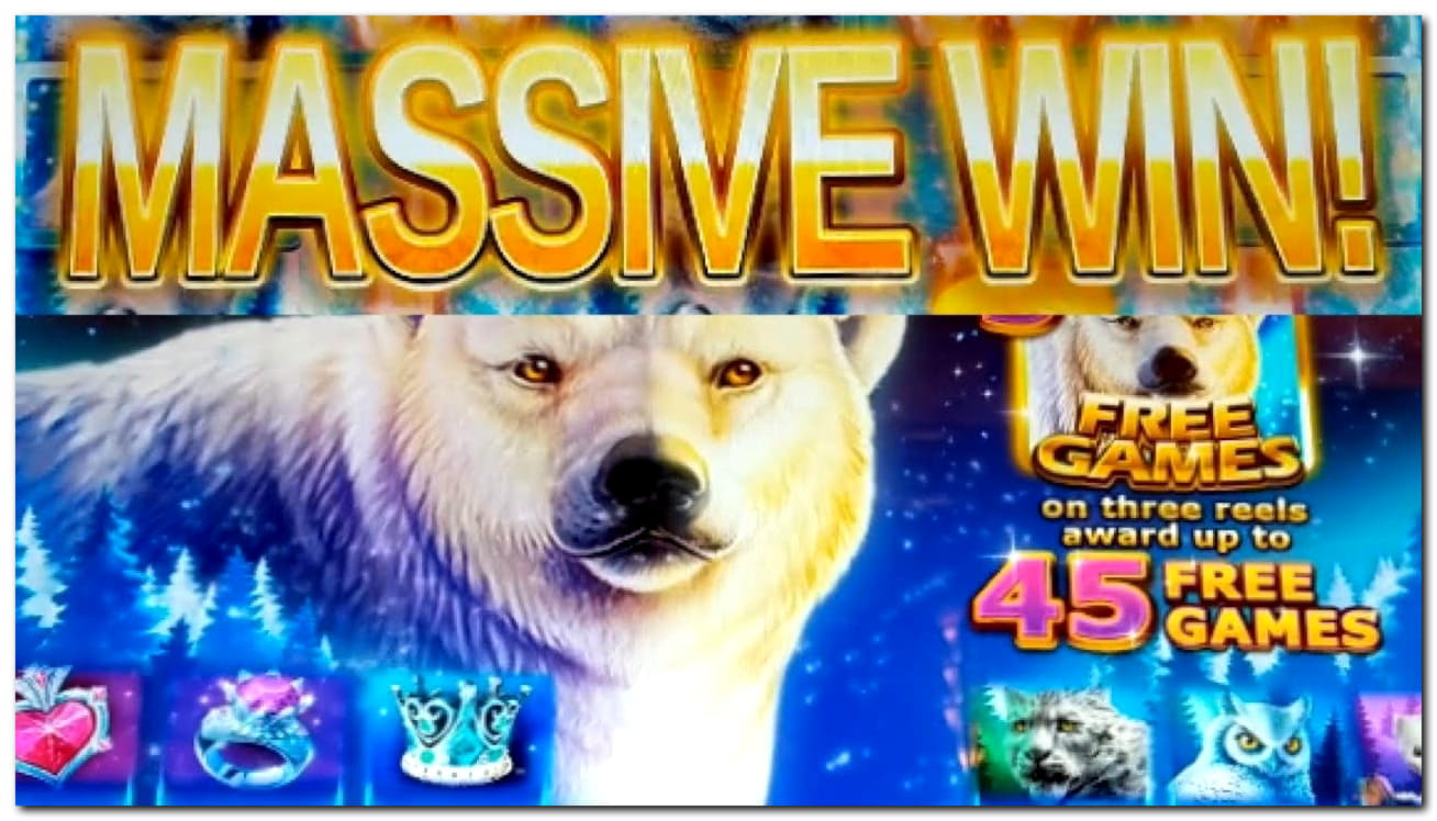$1425 No deposit at Spin Up Casino