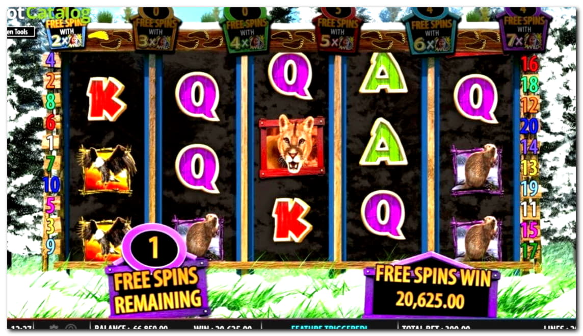 Eur 2570 no deposit at Next Casino