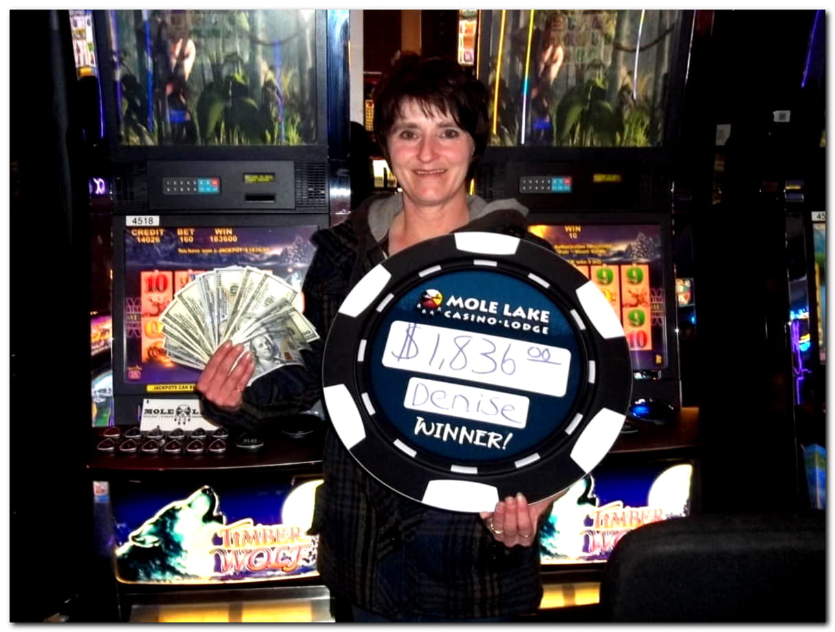 $4820 No Deposit Bonus at Net Bet Casino