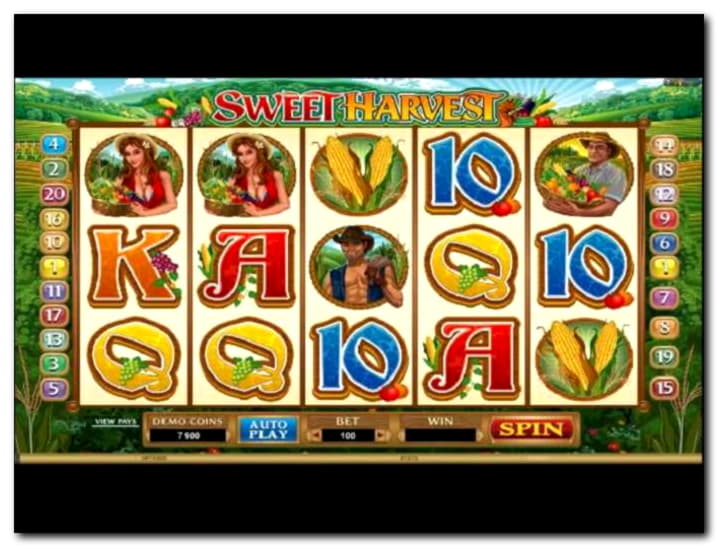 970% First Deposit Bonus at Next Casino
